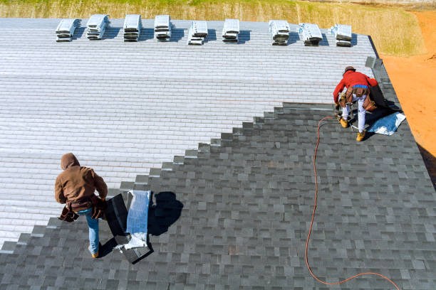 Best Metal Roofing Contractor  in Northglenn, CO